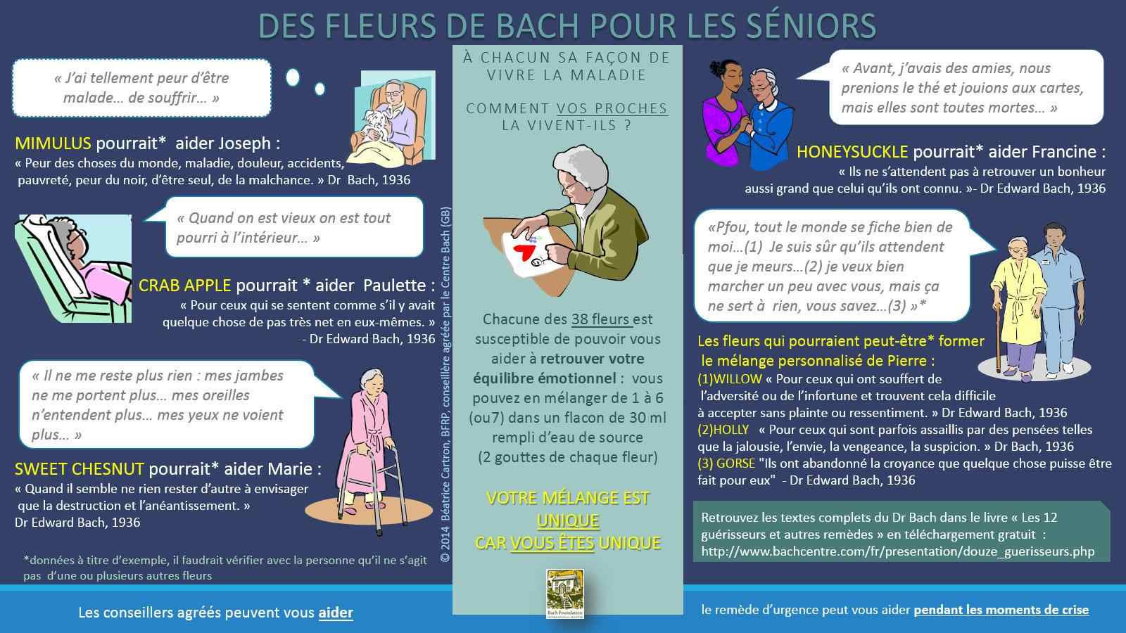 fleurs de bach-seniors